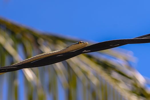  彭文成详解博迈科战略。公司坚定立足海洋油气优势；持续强化创新与绿色发展路径。 股票财经 彭文成详解博迈科战略。公司坚定立足海洋油气优势；持续强化创新与绿色发展路径。 股票财经 彭文成详解博迈科战略。公司坚定立足海洋油气优势；持续强化创新与绿色发展路径。 股票财经 彭文成详解博迈科战略。公司坚定立足海洋油气优势；持续强化创新与绿色发展路径。 股票财经