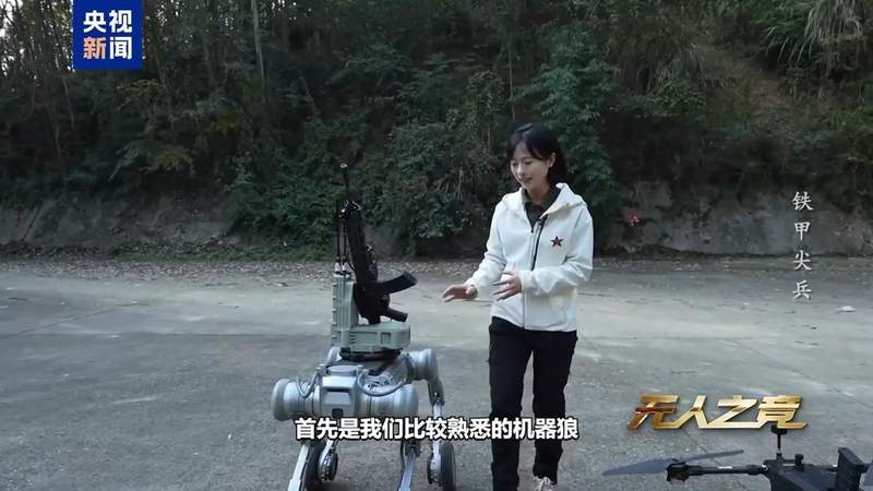  未来战场趋势观察：无人作战系统协同作战实战指南 新闻