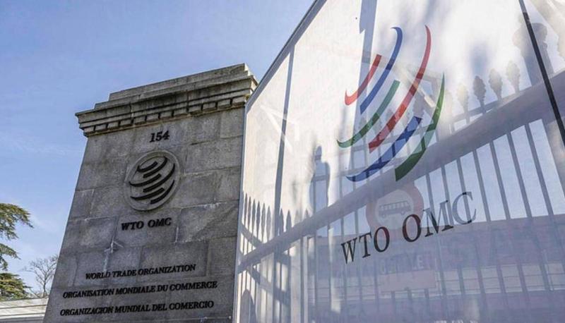  二十六年迷局重现：国际准则下的身份焦虑与盲目博弈 新闻