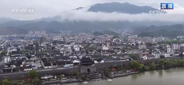  【成长焦虑化解】春假期间亲子互动与认知拓展的底层逻辑 情感心理