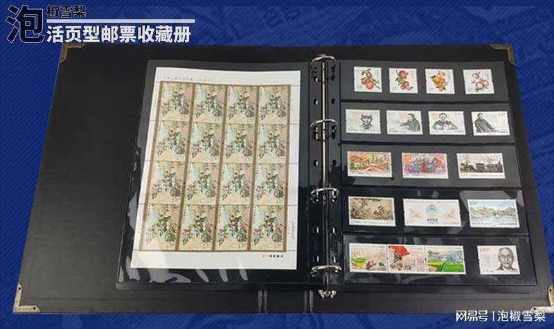  《数学之美》活页上架启示录：技术视角下的护邮卡市场逻辑 新闻 《数学之美》活页上架启示录：技术视角下的护邮卡市场逻辑 新闻