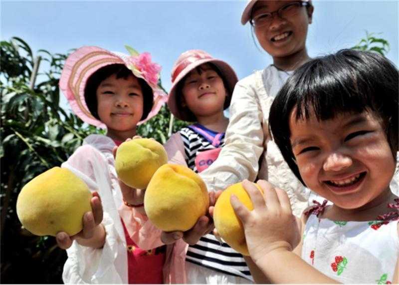  【产业深度】从制造重镇到食尚之都：昆山高端食品产业链的百亿跃迁密码 企业服务