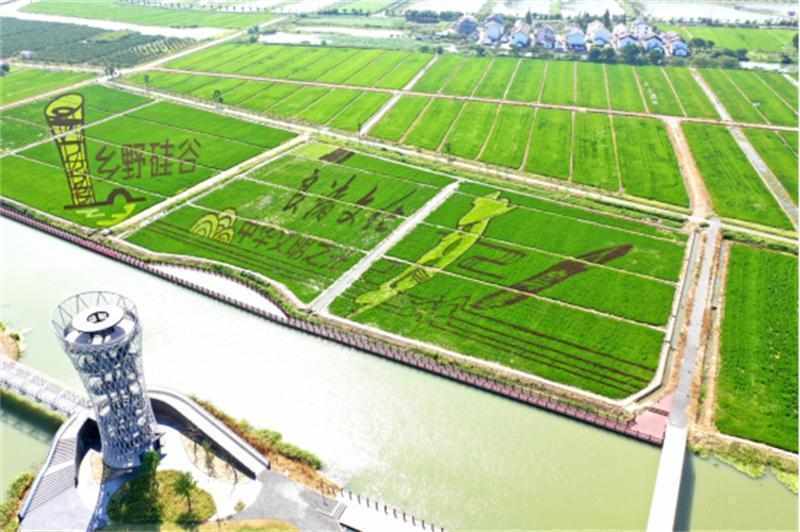  【产业深度】从制造重镇到食尚之都：昆山高端食品产业链的百亿跃迁密码 企业服务