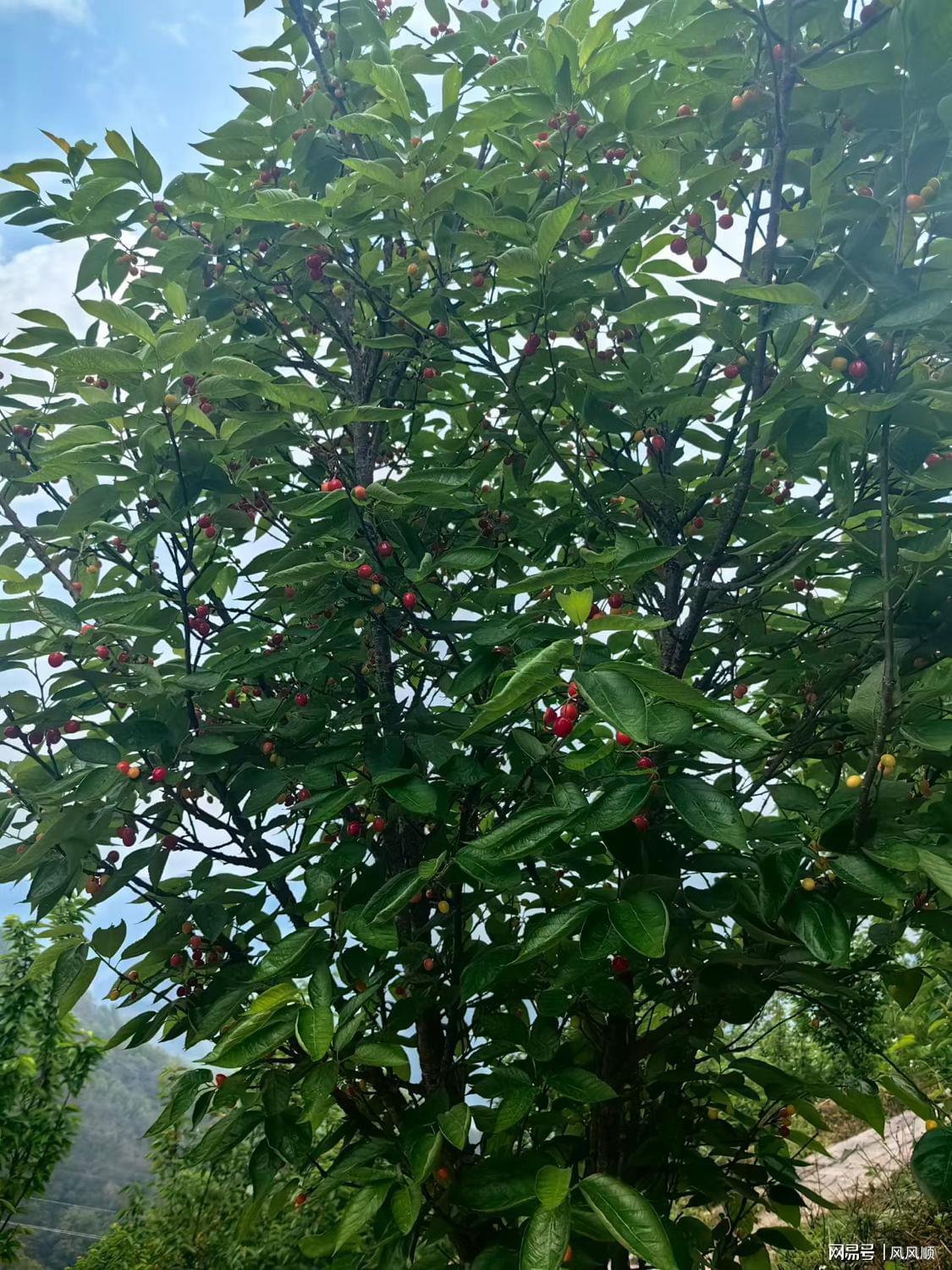 【深度复盘】中东黑天鹅与产业链新政共振：A股多空博弈底层逻辑全解 股票财经