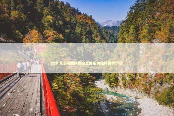 技术深度挖掘数据安全体系的独特保护价值 新闻