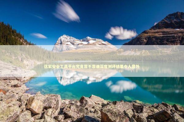 这家安全工具平台究竟靠不靠谱深度测评结果令人意外 IT技术