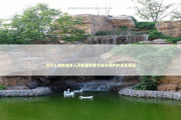 为什么越来越多人开始重视数字身份保护的真实原因