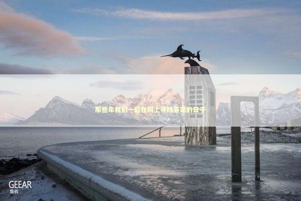 那些年我们一起在网上寻找答案的日子