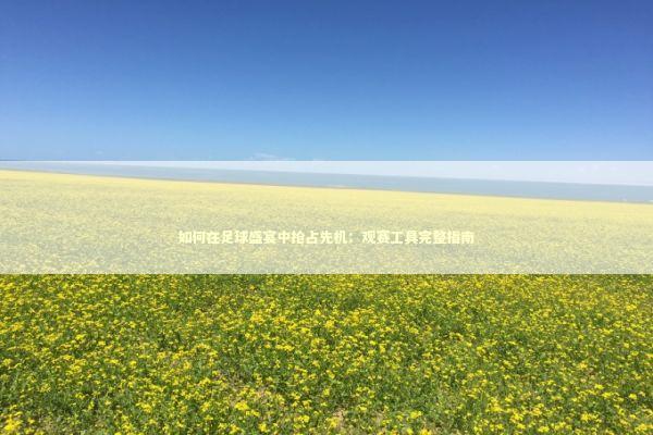 如何在足球盛宴中抢占先机：观赛工具完整指南 体育新闻