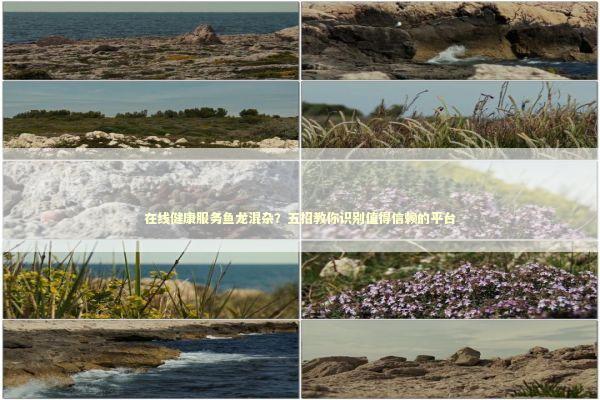 在线健康服务鱼龙混杂？五招教你识别值得信赖的平台 健康养生